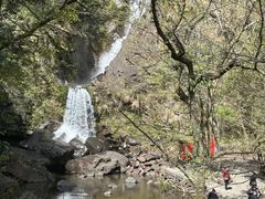-石台牯牛降景区