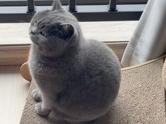 -爱侣宠医·鹦鹉专科·小型哺乳类·异宠专科(灵石路店)