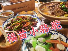 -福苗小骆驼烧烤(莲湖路店)