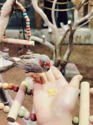 -Zoolung Zoolung动物主题公园(海信广场店)