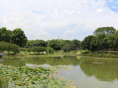 -东莞植物园