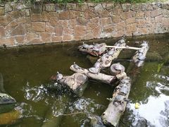 -九龙公园