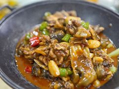 甲鱼-沪依小酒馆心意菜