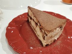 -滚猫咖啡·猫咖·猫友好撸猫(未来城店)