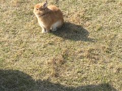 -宁波儿童公园(鄞州区)