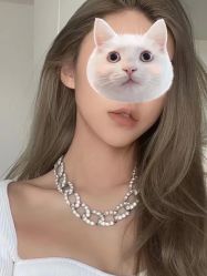 -菲·木田moontin造型salon