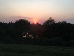 -湖南东洞庭湖国家级自然保护区