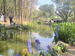 -人民公园(罗湖区)