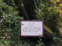 -大蜀山国家森林公园