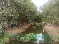 -长白岛森林公园