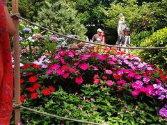 -庐山风景区花径公园