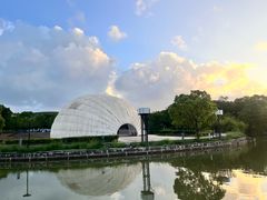 -吴淞炮台湾湿地森林公园烧烤区
