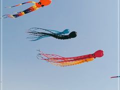 -潍坊滨海云门国际风筝放飞场