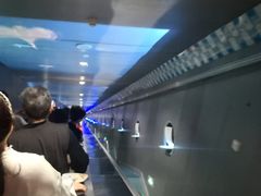 -白鹤梁水下博物馆
