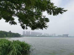 -高子水居