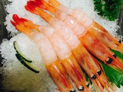 -春草居酒屋·晴子の店