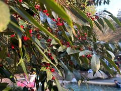 -天目湖涵田半山温泉