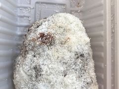 椰蓉卷-老回回烩面馆(左家庄店)