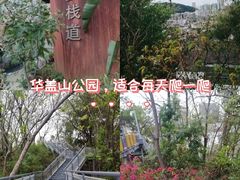 -佛山华盖山公园