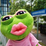 Waka蛙咖||晴空万里泡泡屋🌞吃蛙嗦面敲幸福[爱心]