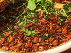 -杨记隆府(时代天街店)