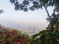 -千佛山风景名胜区