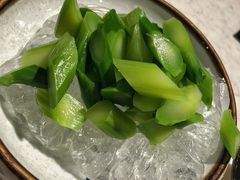 -裕.鹅庄