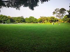 -东莞植物园