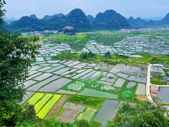 -会仙湿地
