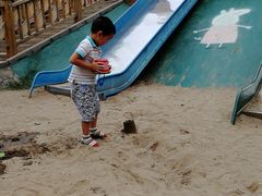 -大兴滨河森林公园