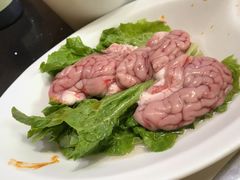 猪脑-锅说大脸毛肚重庆老火锅(佐阾店)