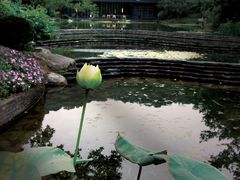-云溪植物园