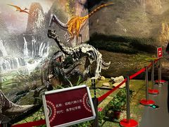 -北京周口店北京人遗址博物馆