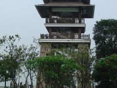 景点-大湾区中央湿地公园