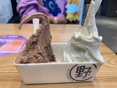 -野人先生现做冰淇淋(北京环宇荟店)