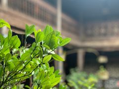 -石屏会馆