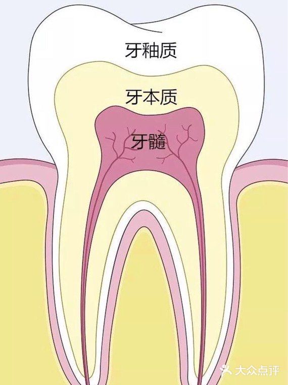 牙齿随着年龄越来越黄 该怎么美白牙齿呢？