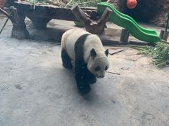 -石家庄市动物园