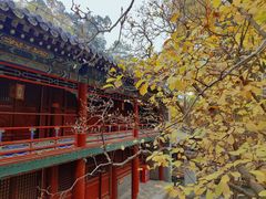 -潭柘寺景区