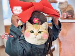-有猫主题·治愈系猫咖(曾厝垵店)