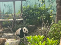 -南宁市动物园