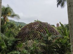 -深圳仙湖植物园