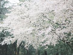 -杭州少年儿童公园