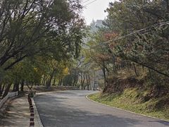 -金龙寺国家森林公园