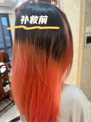 点击看大图 -SALON TV x ILCOLPO