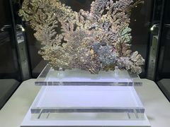 -中国地质大学逸夫博物馆