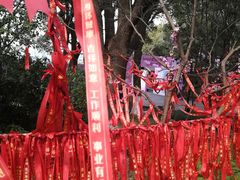 -金鸡湖桃花岛