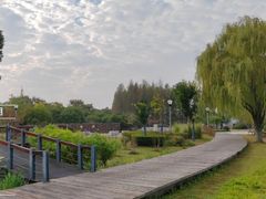 -尚贤河湿地