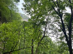 -武当山风景区
