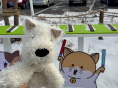 -枫叶小镇奥特莱斯